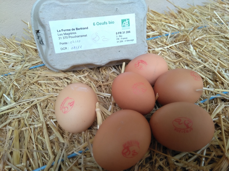 Vente à la ferme d'œufs frais x6 - GAEC du Champ du Bourg